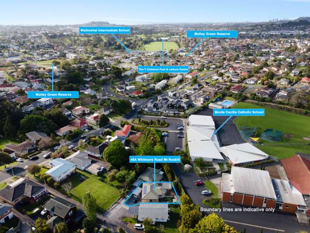 46a Whitmore Road Mount Roskill_4