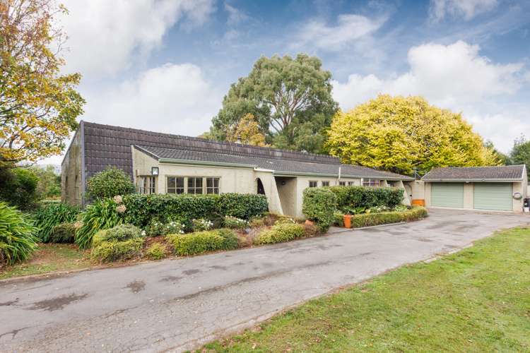 77 Grove Road Ashhurst_0