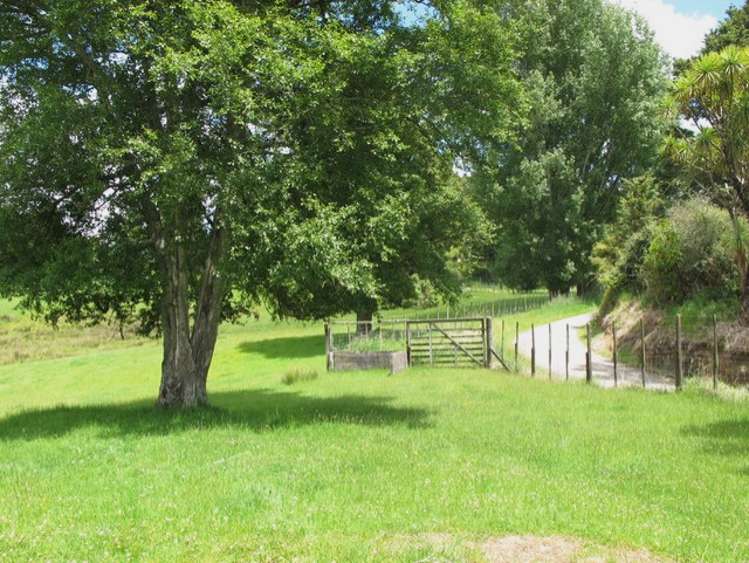 Stone Jug Road Kakahi_20