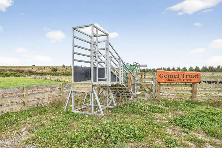 206 Almadale Road Cheltenham_13