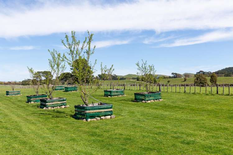 1827 State Highway 2 Masterton_23