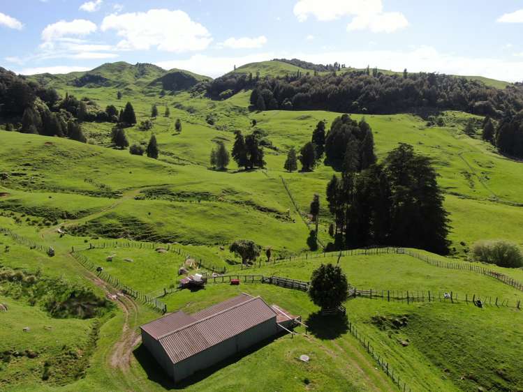 Lot (Rural)/1246 State Highway 3 Piopio_8