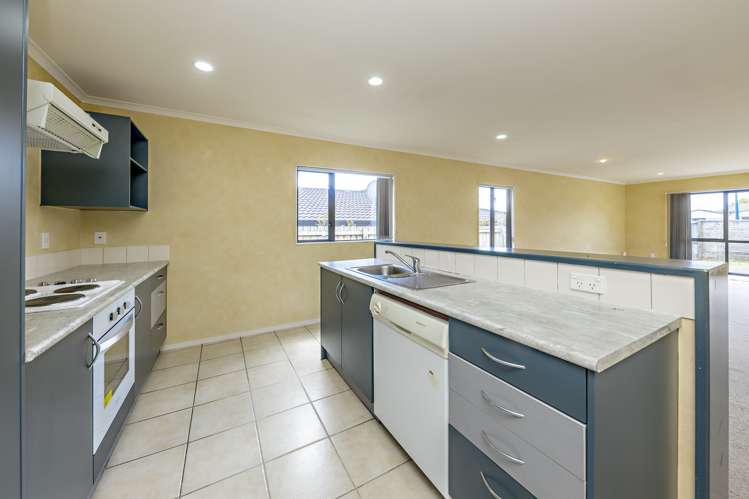 17 Ksenia Drive Flat Bush_0