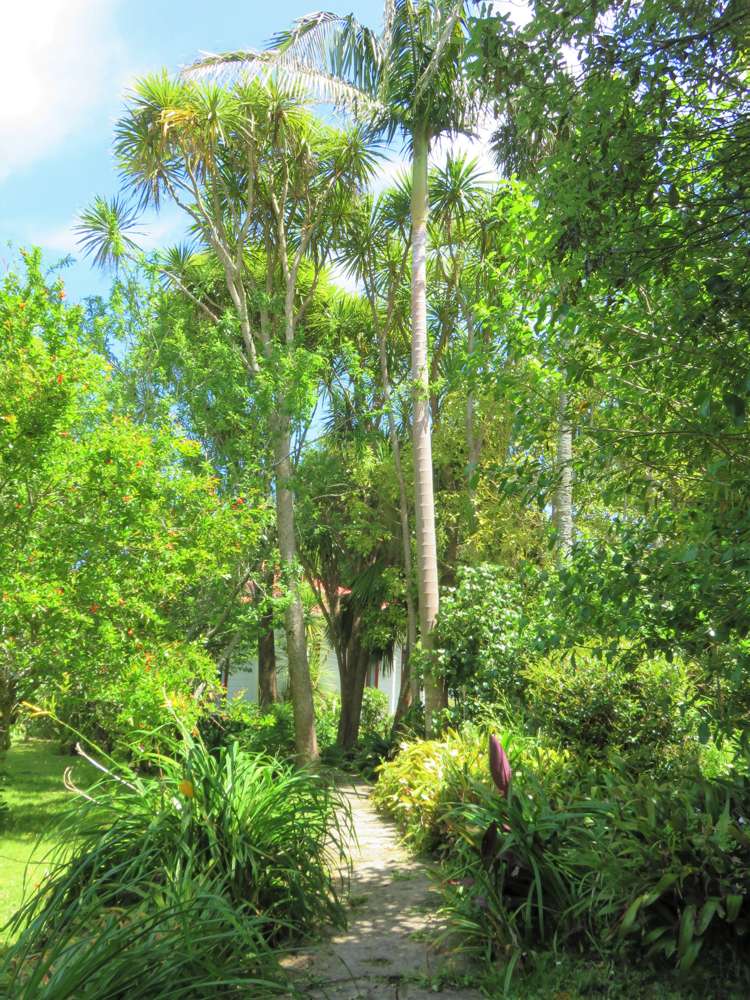 112 Colville Road Dargaville_19