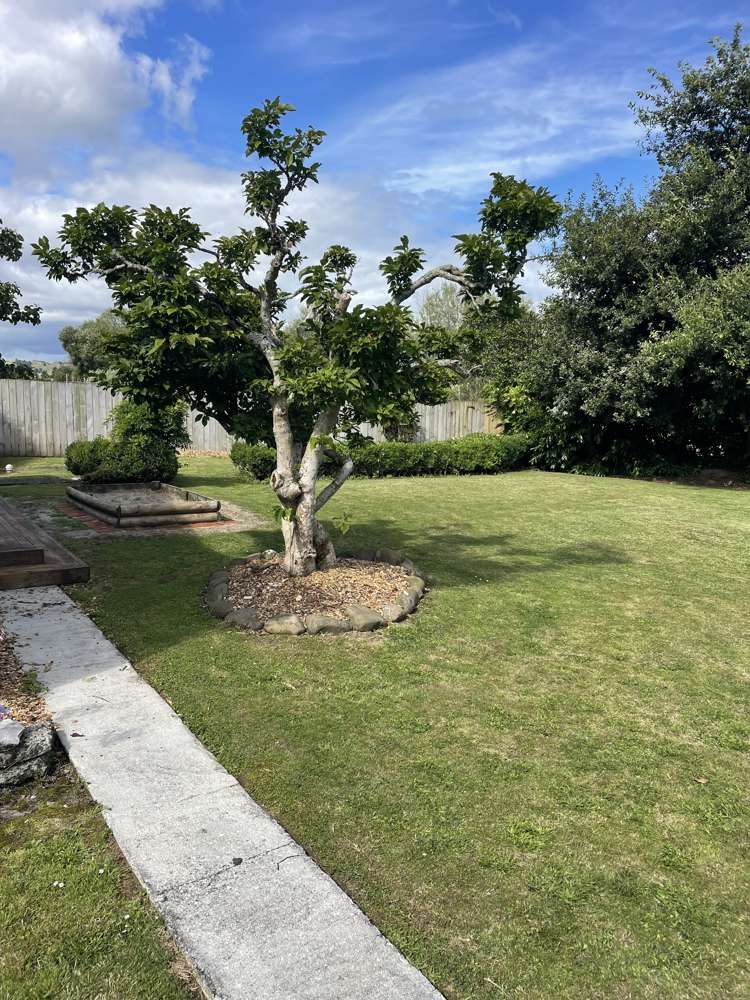 7 Gribbon Road Mahoenui_18