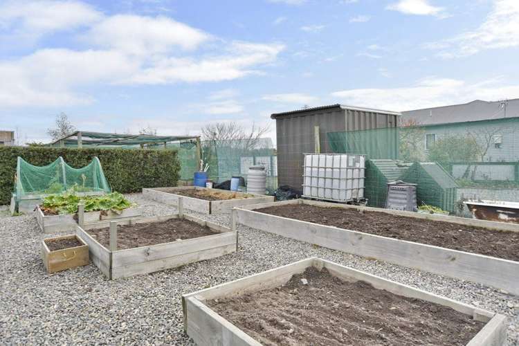 295 Innes Road Amberley_20