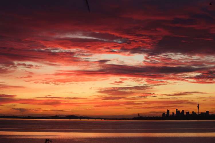 8 Kawai Rise Te Atatu Peninsula_22