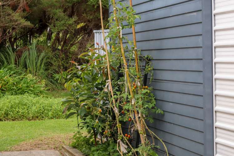 53 Manning Street Rawene_44