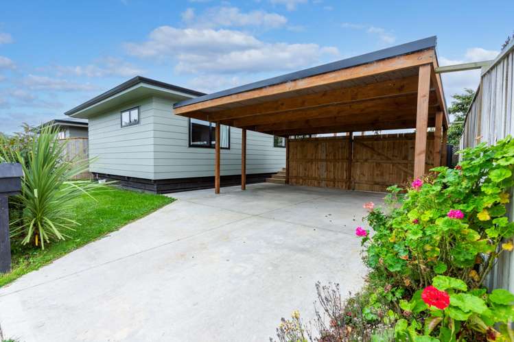 17 Hall Street Woodville_21