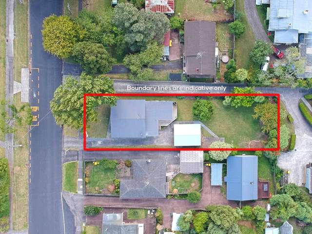 59 Nikau Street New Lynn_1