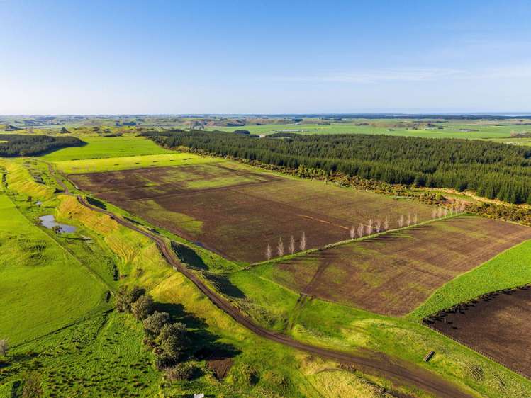 Marangai Road Whangaehu_8