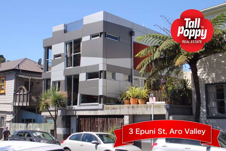 3 Honiana Te Puni Street Aro Valley_15