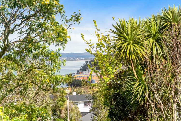 25 Palmerston Road Birkenhead_13