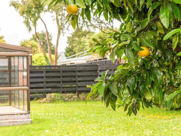 12 Flavia Grove Clouston Park_19