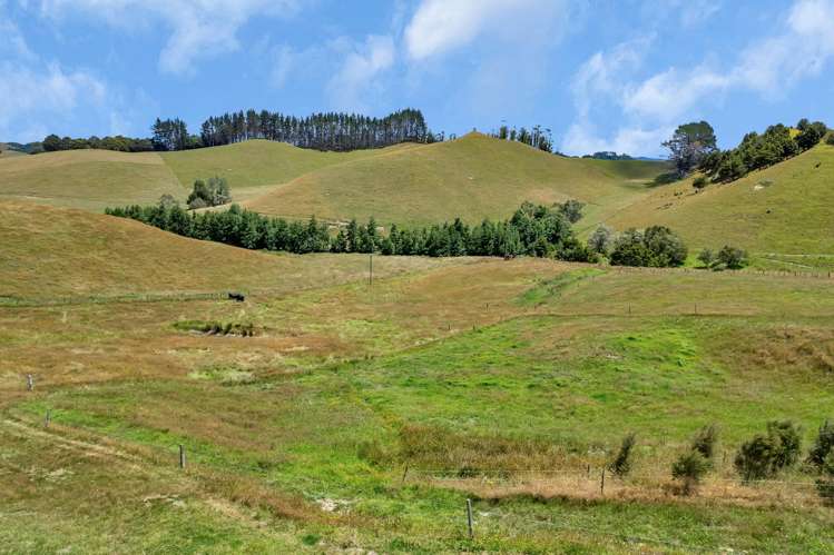 141 Adams Road Glenbervie_40