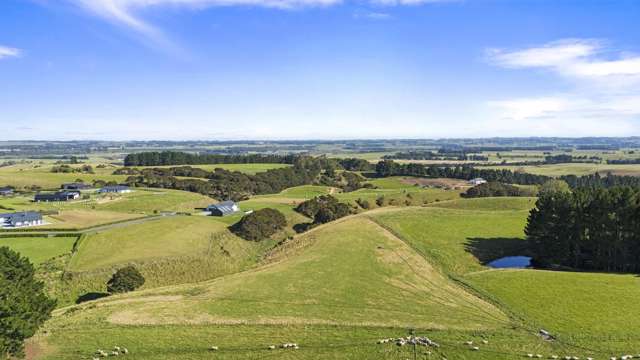 80 View Road Halcombe_3