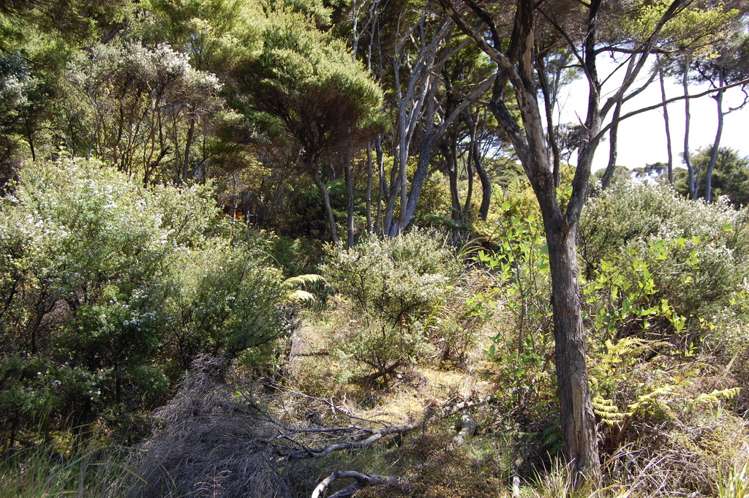 348 Blind Bay Road Great Barrier Island (Aotea Island)_1