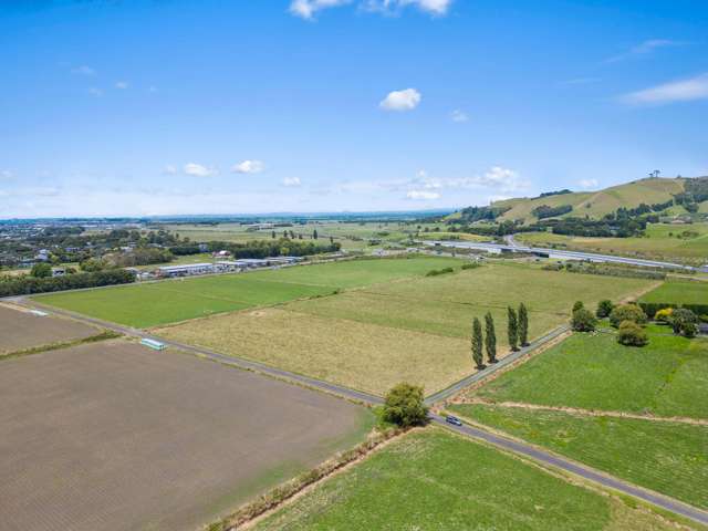 160 Domain Road Papamoa_2