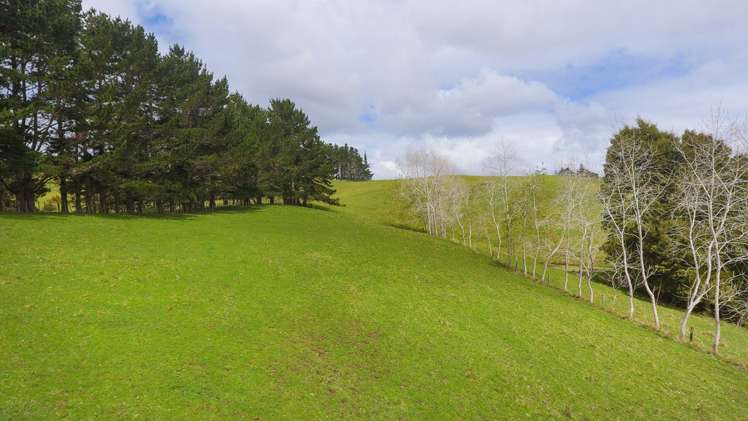 471 Horseshoe Bush Road Dairy Flat_19