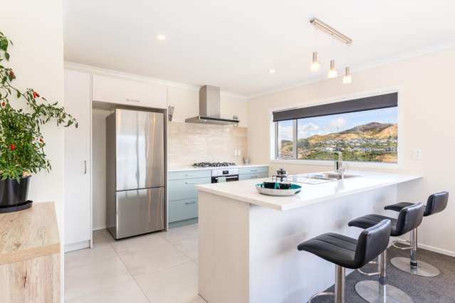 17 Prestwich Rise Churton Park_3