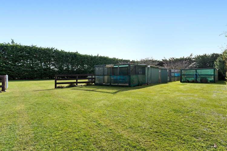 1680 Hoskyns Road Kirwee_25