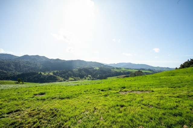 Lot 4, 120 Swetman Road Waihi_3