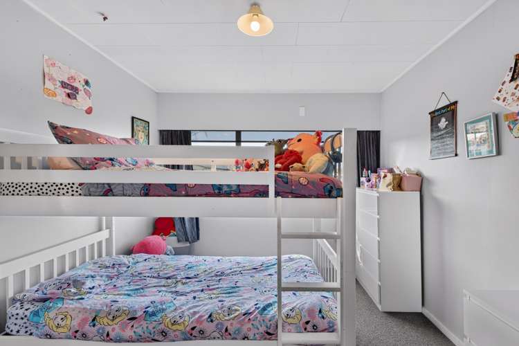 1 Arney Street Tamatea_10