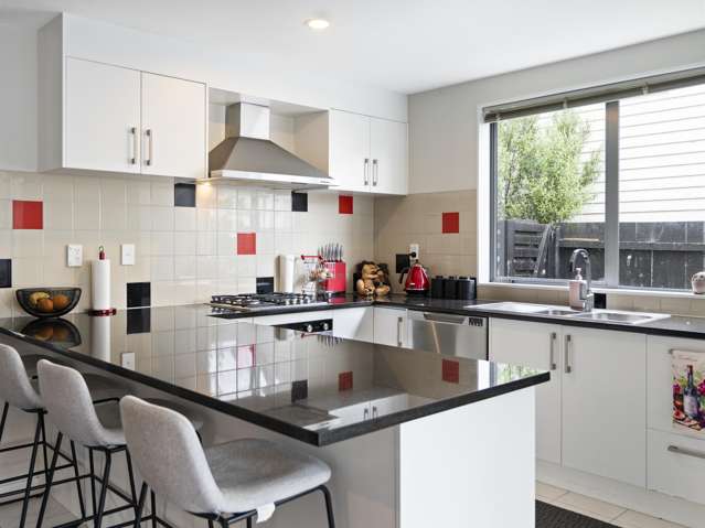 19 McGinty Street Takanini_2