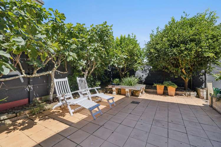 8a Wicklow Road Narrow Neck_7