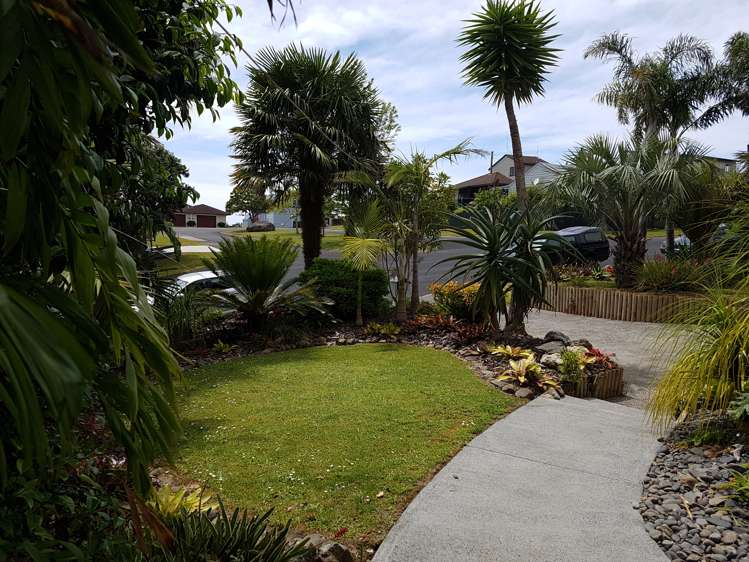 323 The Drive Whangamata_15