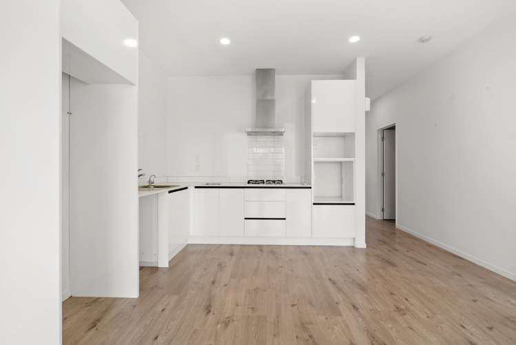 6 Swamp Kauri Grove_3