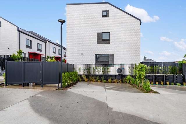 6 Tupuke Lane Mount Roskill_1