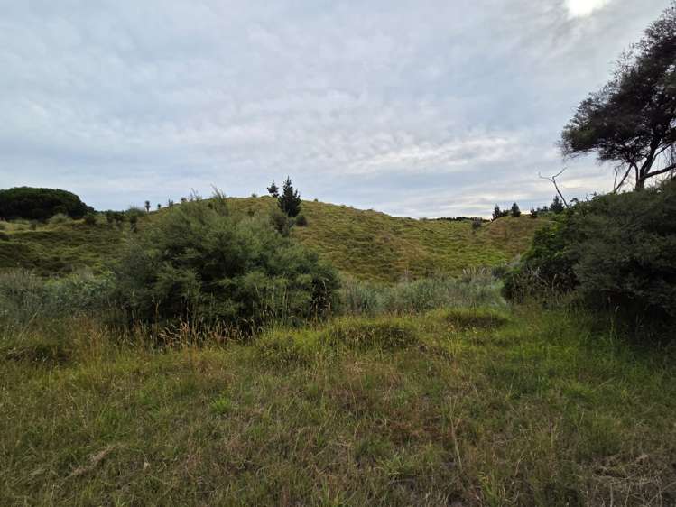 Wilson Road South Head_1