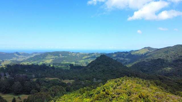 coastal lifestyle with pristine bush