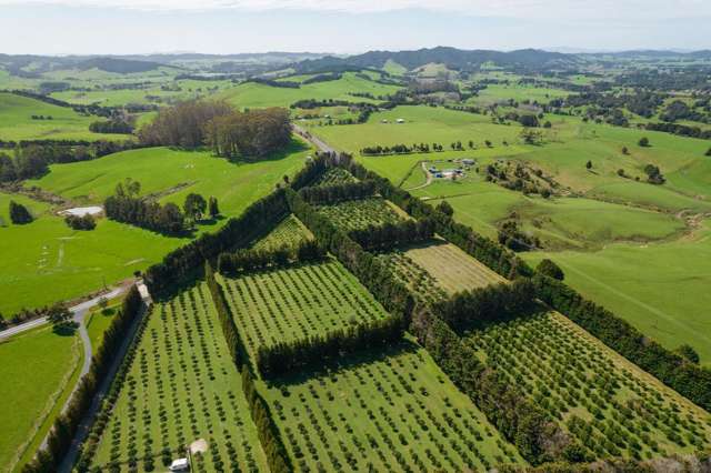 908A Te Ahu Ahu Road, Waimate North Kerikeri_1