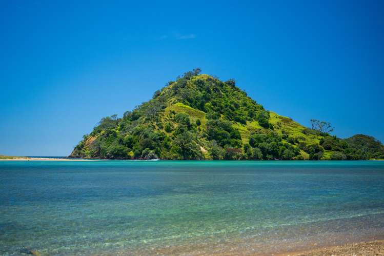 890 Pataua South Road Pataua South_3