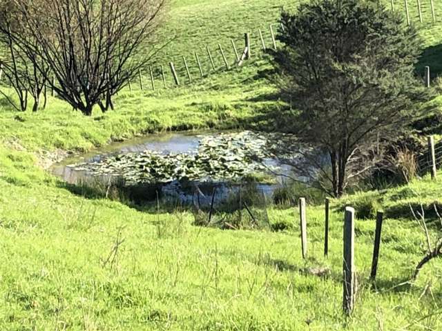 2990 Kaipara Coast Highway Glorit_2
