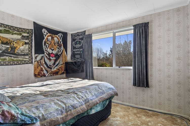 87 Marshmans Road Ashley_18