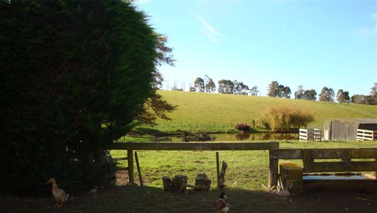 136 Rolling Ridges Road Levels Valley_29