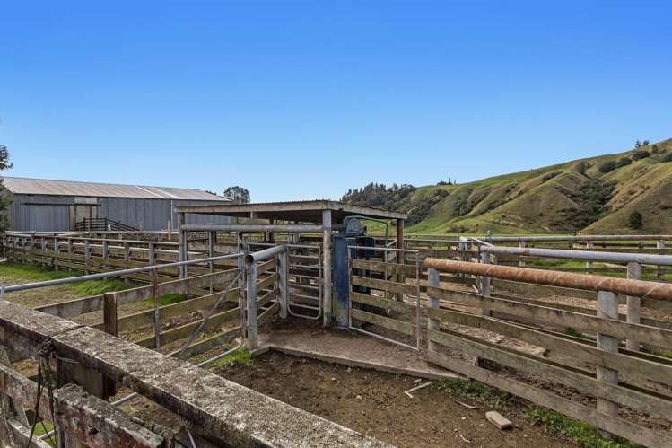 179 and 216 Rankin Road Waiotahe_7