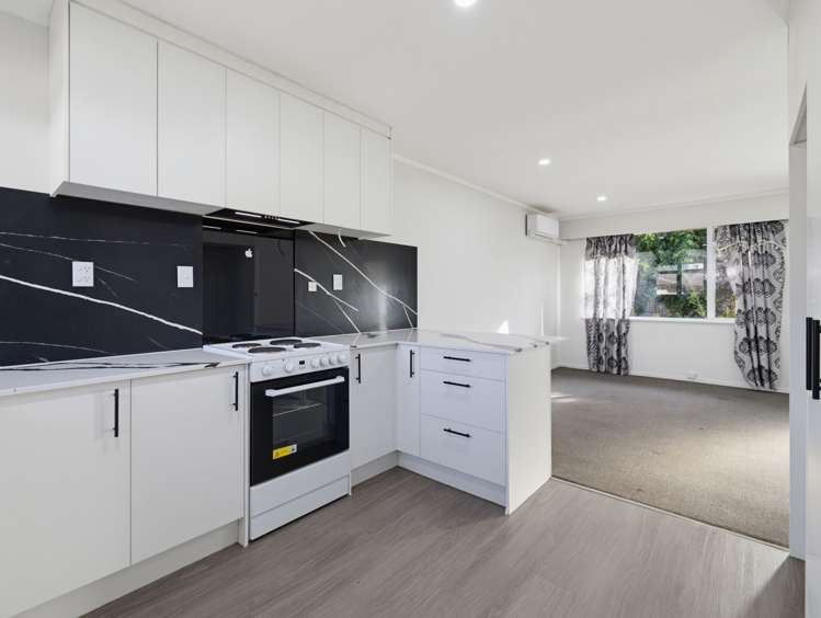 2/24a Vine Street_4
