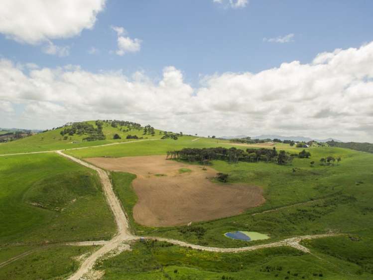 38 Birch Road Ruawai_9