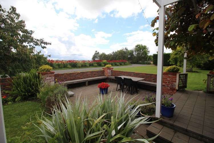 112 Calico Line Marton_39