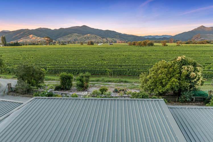 36 Hillocks Road Spring Creek_29