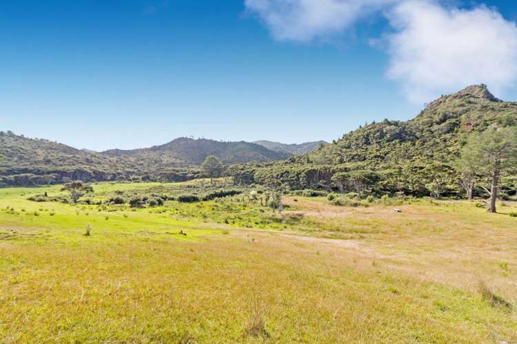 255 Gray Road Great Barrier Island (Aotea Island)_5