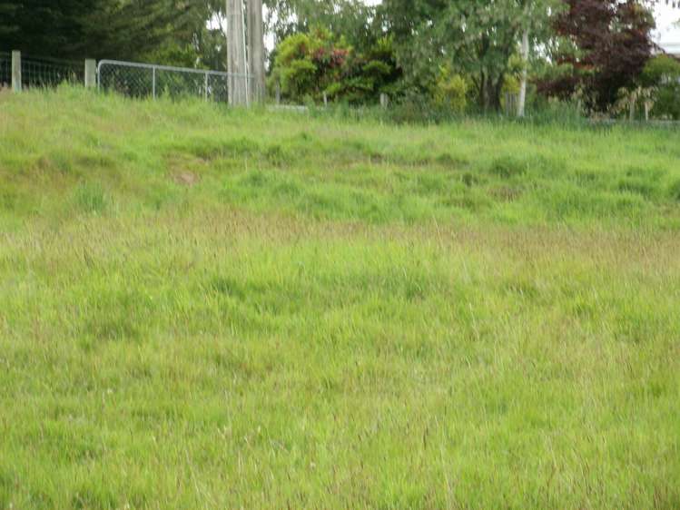 1 Burns Street Owaka_6