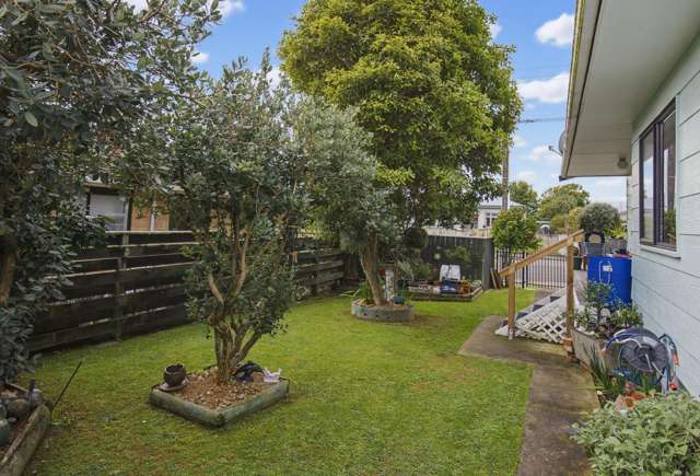 13 Douglas Street Levin_4