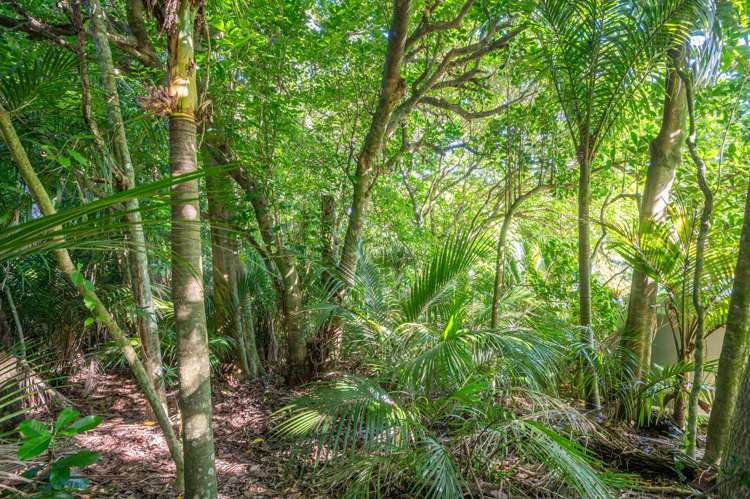 54 Goodwin Avenue Oneroa_8