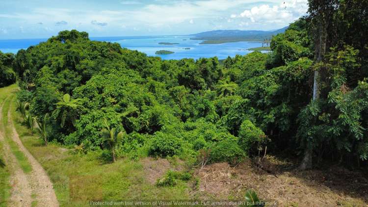 Address withheld Savusavu_14