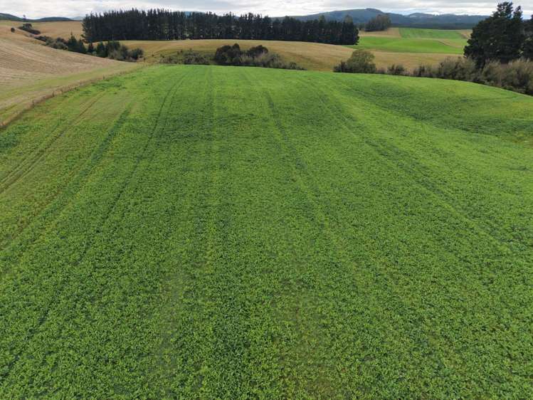 158 Kowhatu Road Waimate_25